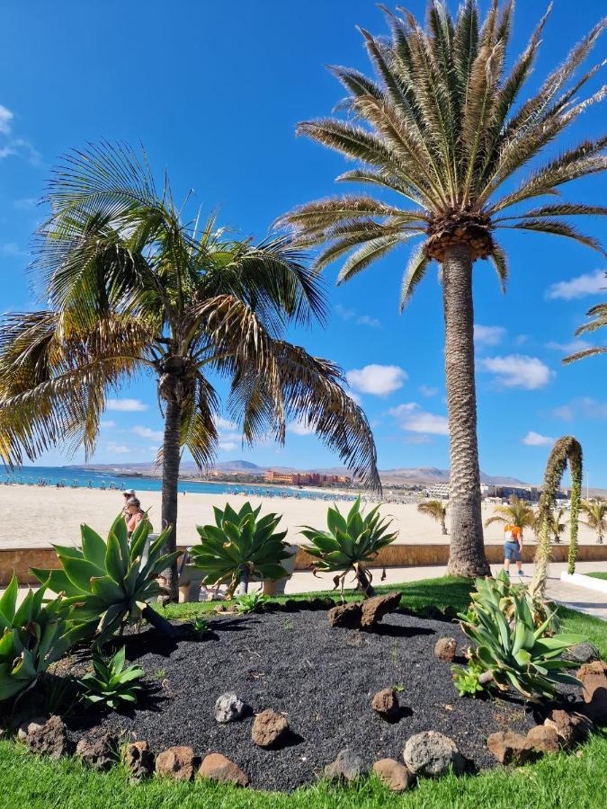 Apartament Caleta 칼레타데푸스테 외부 사진